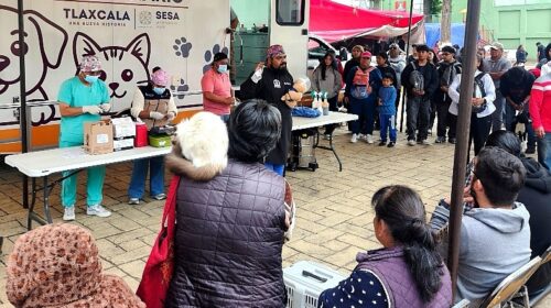 Fortalecen gobierno de Alfonso Sánchez Zoonosis de Sesa la salud pública con exitosa campaña de esterilización animal