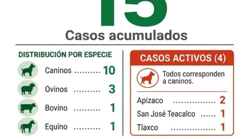Tlaxcala registra la mayor proporción de casos activos de gusano barrenador en caninos; OCPA cuestiona la inacción de la CBA