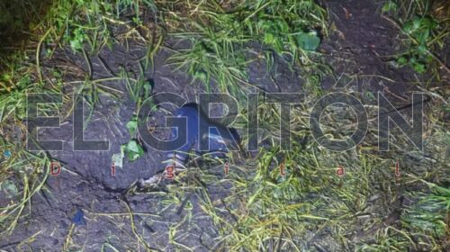 Perros desentierran brazo humano y descubren cadáver sepultado, en Ixtacuixtla