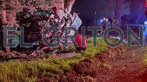 Mueren cinco integrantes de una familia tras brutal choque contra un árbol, en Nanacamilpa