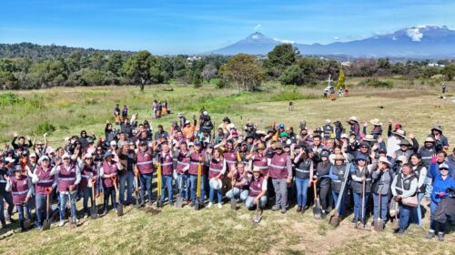 Continúa ayuntamiento de Tlaxcala las macrofaenas con jornada de reforestación en Cuahtelulpan 