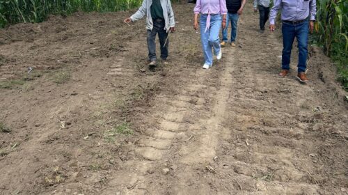 Tetlanohcan fortalece la movilidad con apertura de vialidad de 1.2 kilómetros en Jesús Xolalpan