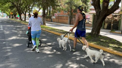 Nuevo domingo de activación física y convivencia familiar con Muévete Tlaxcala 