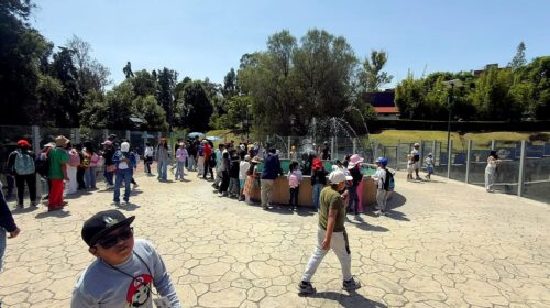 Verano deportivo Tlaxcala 2026 llega a su segunda semana y se convierte en un espacio de aprendizaje y diversión