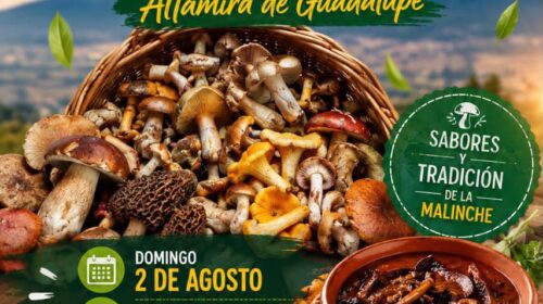 Huamantla invita a disfrutar de la tradicional Muestra Gastronómica del Hongo en Altamira