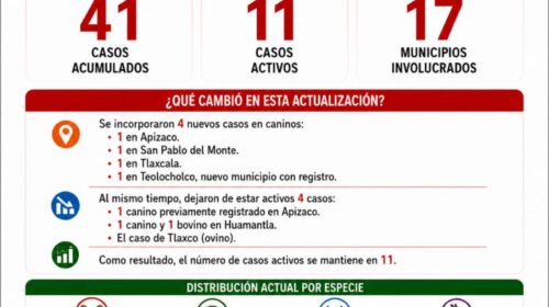 Julio concentró más de la mitad de los casos acumulados de gusano barrenador en Tlaxcala 