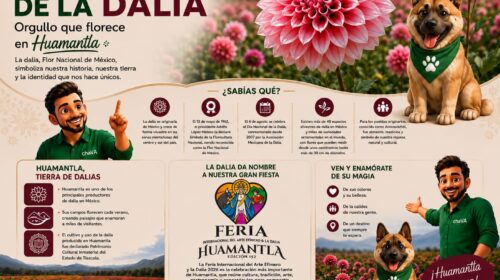Huamantla florece con el orgullo de México en el Día Nacional de la Dalia