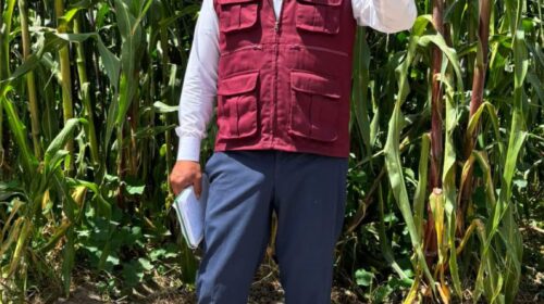 ¡Se equivocaron las encuestas! Carlos Augusto Pérez entre los tres punteros en las preferencias de Tlaxcala