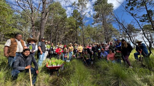 “Cuidar nuestros bosques es cuidar el futuro de Tlaxco”: Diana Torrejón
