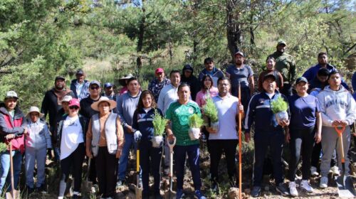 Panotla se suma a la Jornada Nacional de Reforestación 2026