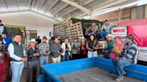 Tlaxco fortalece acciones de conservación ambiental con la entrega de 28 mil árboles
