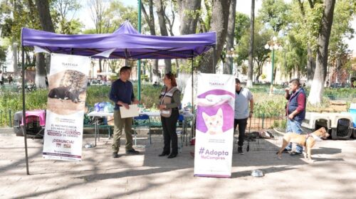 Ayuntamiento de Tlaxcala llama a continuar con el fortalecimiento del cuidado de las mascotas