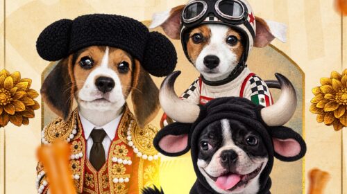 Huamantla prepara una expo canina con tradición y mucho talento perruno