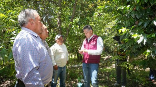 Cada vez más sectores del pueblo le dan su respaldo a Alfonso Sánchez