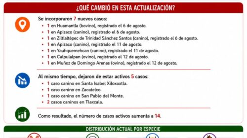 ¡Se encienden las alarmas en Tlaxcala! Se dispara el gusano barrenador: ya son 51 casos en 21 municipios