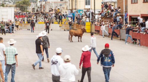 Saldo blanco en la Tlaxconada 2026; tradición taurina transcurre con seguridad en Tlaxco