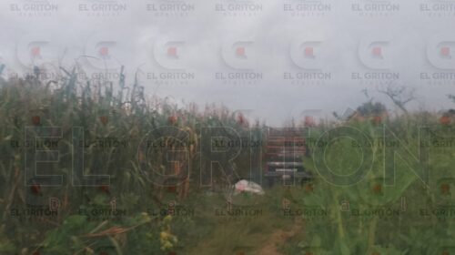 Hallan asesinado a campesino en terrenos de labor de Tepetitla; su esposa lo encontró junto a una camioneta