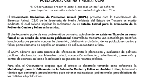 Estado debe contar con una estimación poblacional canina y felina: OCPA