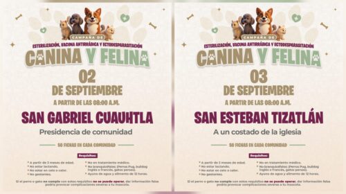 Este miércoles y jueves la campaña de bienestar animal del ayuntamiento de Tlaxcala a San Gabriel Cuauhtla y Tizatlán 