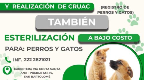 Vacunación antirrábica gratis todo el año en Unidad de Bienestar Animal de SPM