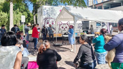Concluye con éxito jornada de bienestar animal en Tizatlán y San Gabriel Cuauhtla; mañana llegará a Atempan