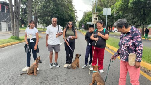 “Aprovechamos cada domingo para salir a activarnos”, afirman participantes de Muévete Tlaxcala en la capital 
