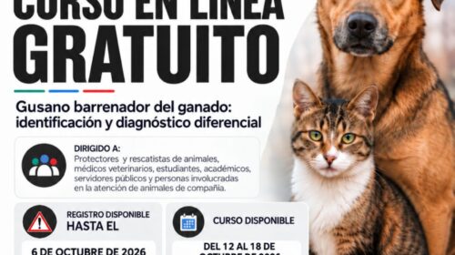 Observatorio anuncian segunda apertura de capacitación sobre gusano barrenador