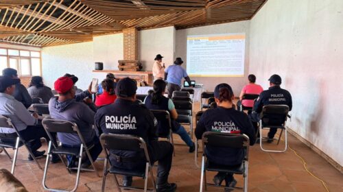Fortalecen capacitación para la prevención y atención del gusano barrenador en Huamantla 