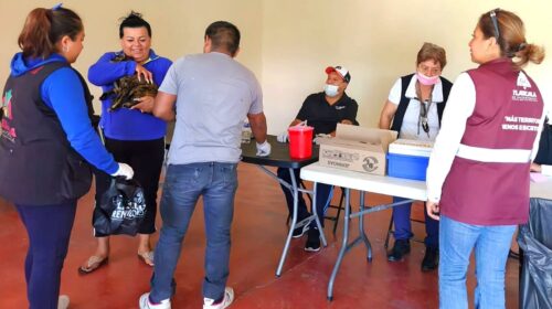 Con éxito, ayuntamiento de Tlaxcala y Sesa realizaron jornada de vacunación antirrábica en comunidades de la capital