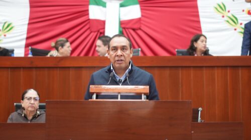 Propone Miguel Ángel Caballero reconocer a las abejas como insectos de utilidad primordial en Tlaxcala