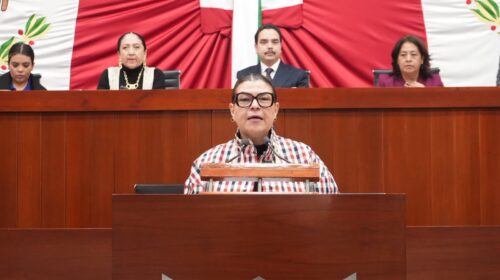 Propone Sandra Aguilar fortalecer derechos de usuarios de perros de asistencia