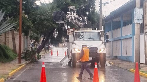 Policía municipal atiende reporte por árbol caído en San Esteban Tizatlán 