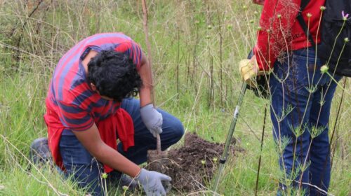 ¡SE PUSIERON A SEMBRAR Y ARMARON UNA MEGA REFORESTACIÓN! 140 jóvenes plantan casi 300 árboles en Panotla