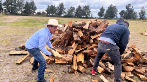 Gobierno de Tetlanohcan entrega leña para la Primera Ofrenda y anuncia reforestación en zona intervenida