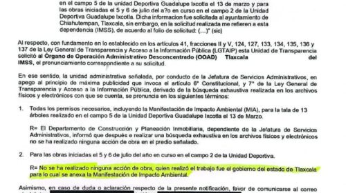 Habitantes de Guadalupe Ixcotla acusan tala de árboles en campos deportivos, señalan que proyecto de hospital IMSS está detenido