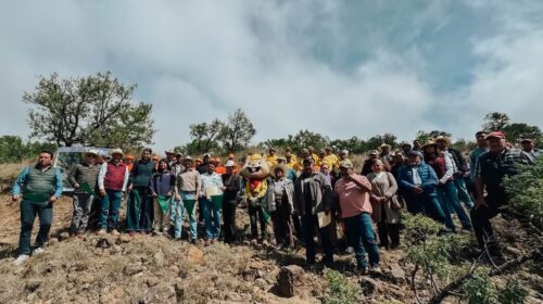 ¡Diana Torrejón le devuelve la vida a los bosques de Tlaxco! Arranca rescate de más de 400 hectáreas
