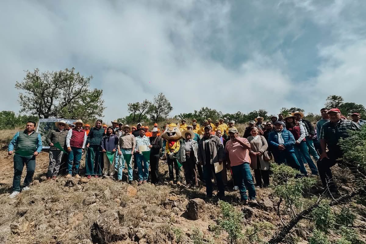 ¡Diana Torrejón le devuelve la vida a los bosques de Tlaxco! Arranca rescate de más de 400 hectáreas