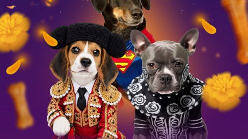 Invitan a participar en “Huellitas de Mictlán”, el concurso de disfraces para mascotas en Huamantla